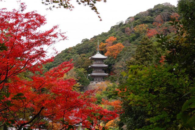 清水寺